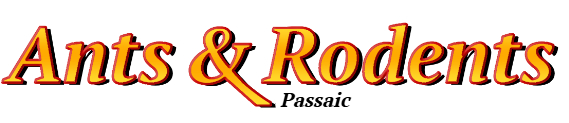 Passaic Ant Exterminator & Rodent Control Company Logo